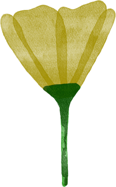 Watercolor Yellow Poppy Illustration
